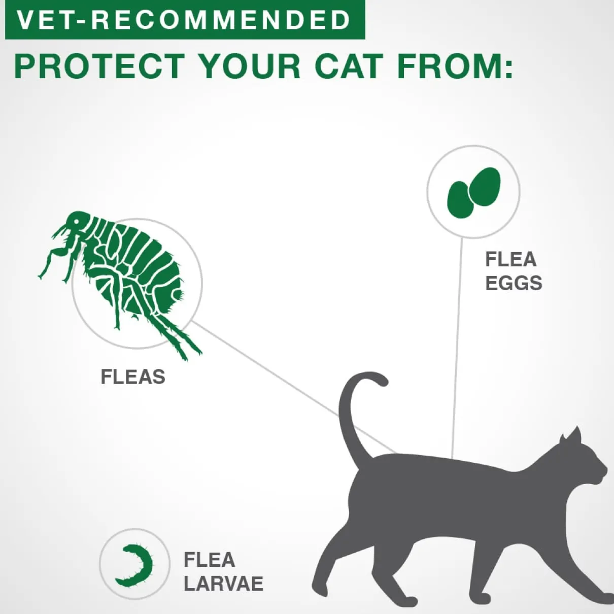 Advantage II - 2.3kg - 4kg