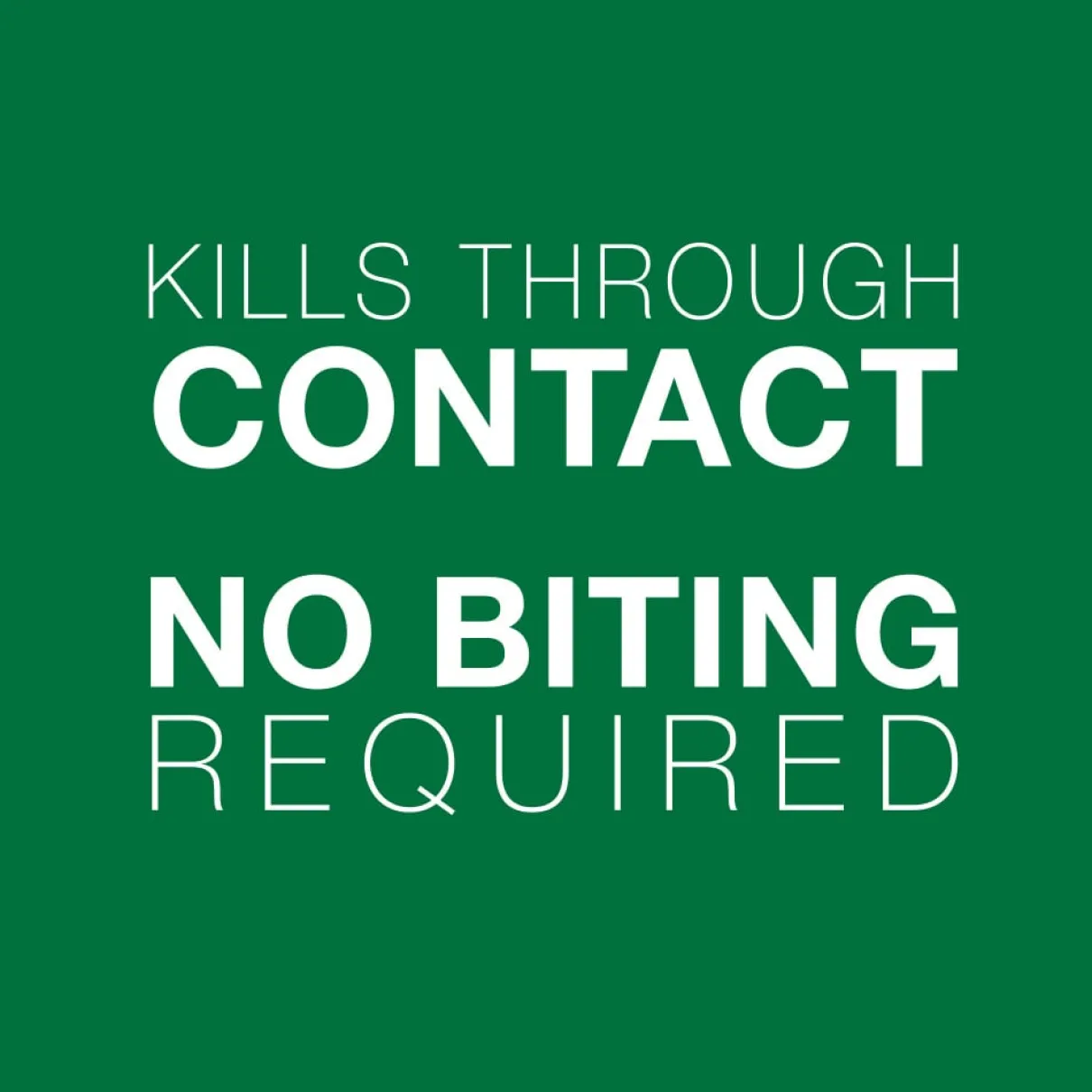 Advantage II - Kitten under 2.3kg