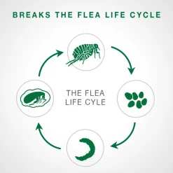 Advantage II - over 4kg