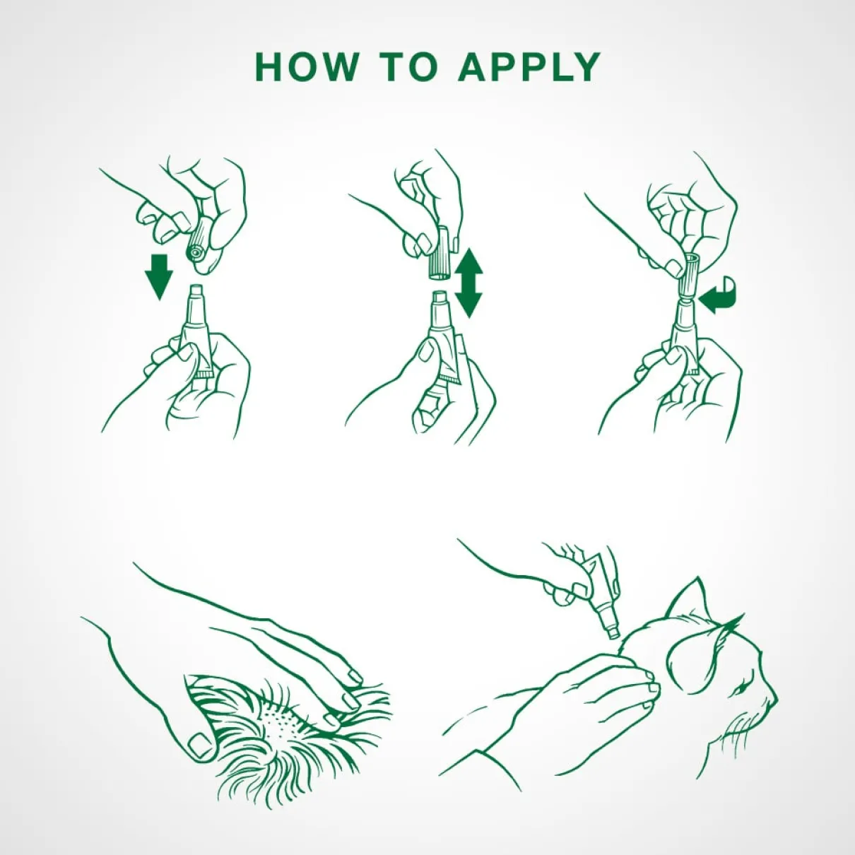 Advantage II - over 4kg