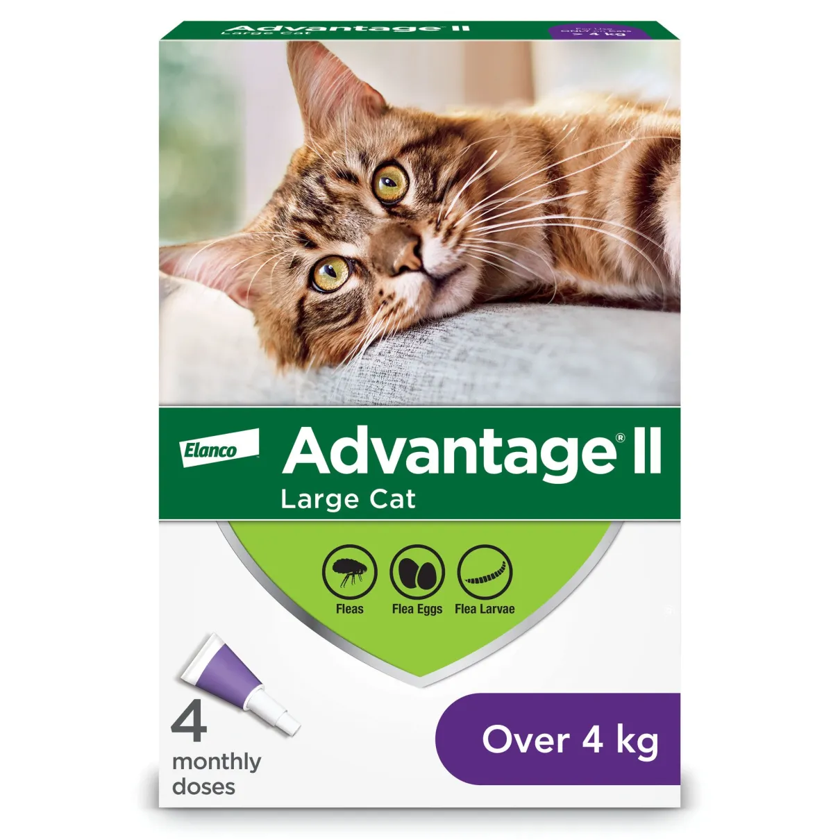 Advantage II - over 4kg