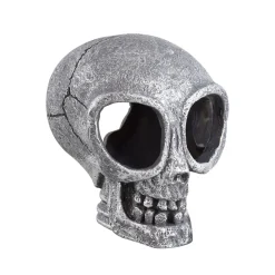 Alien Skull
