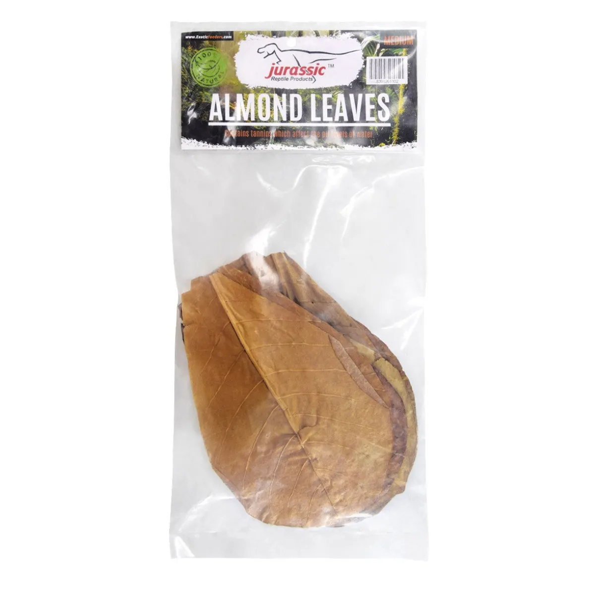 Almond Leaves - Medium