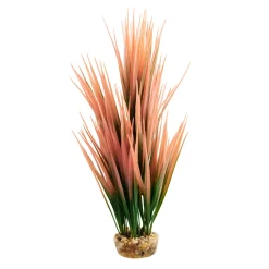 Amazon Grass Salmon 10" Aquarium Plant