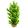 Ambulia Tree 12" Aquarium Plant
