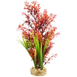 Bacopa Fountain 12" Aquarium Plant