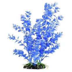 Blue Moon Bog Aquarium Plant