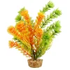 Cabomba Orange 6" Aquarium Plant