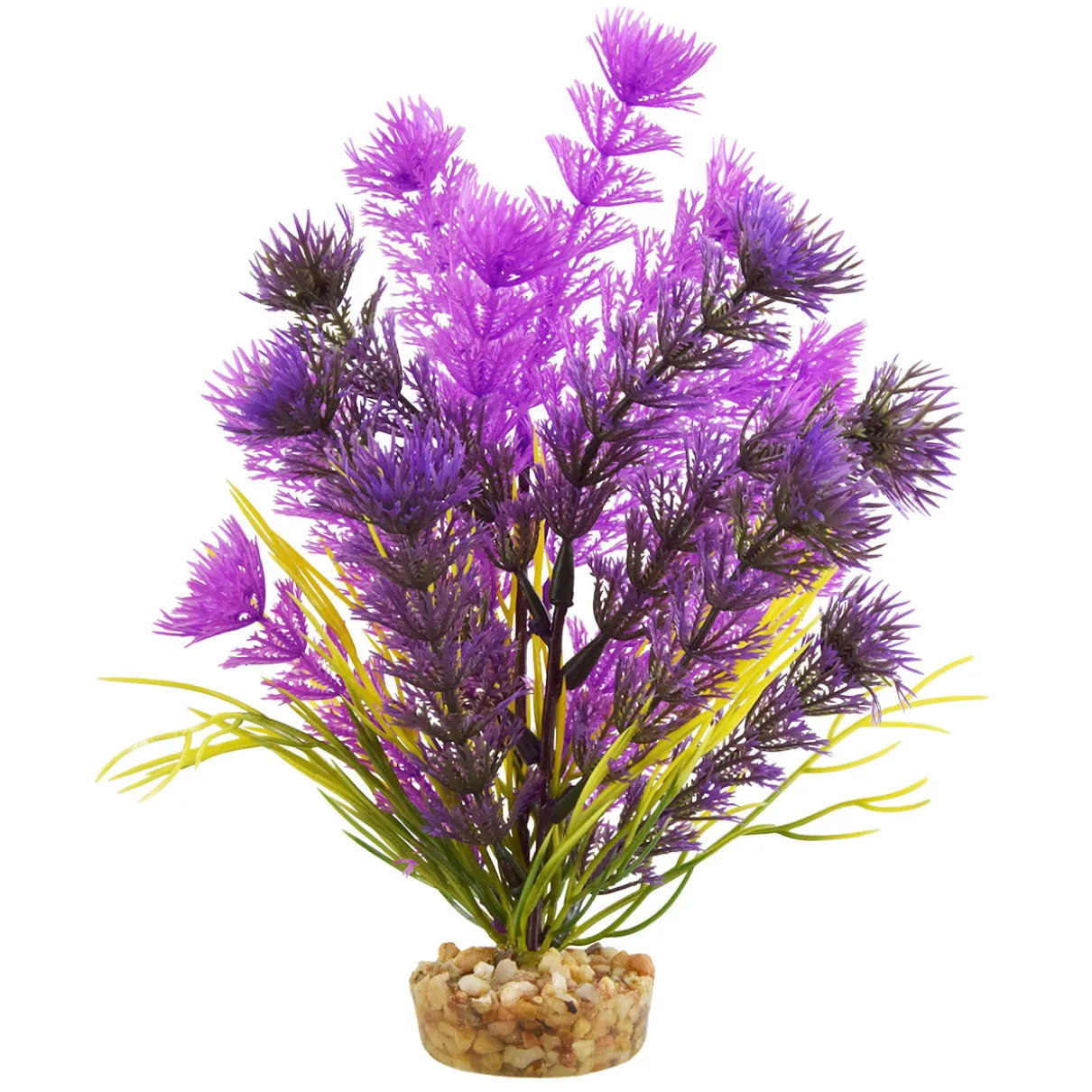 Cabomba Purple 8" Aquarium Plant