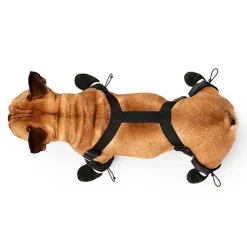 Canada Pooch Suspender Boots Black