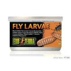 Canned Black Soldier Fly Larvae 34g