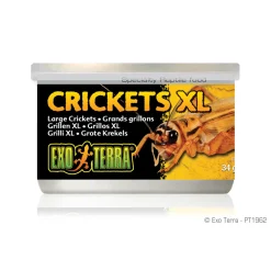Canned Crickets XL 34g
