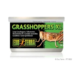 Canned Grasshoppers XL 34g