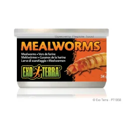 Canned Mealworms 34g