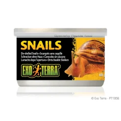 Canned Snails (House free) 48g