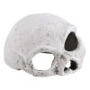 Ceramic Skull Large