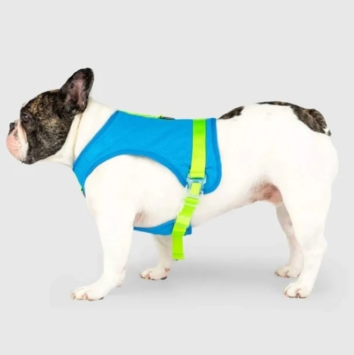 Chill Seeker Cooling Harness Blue