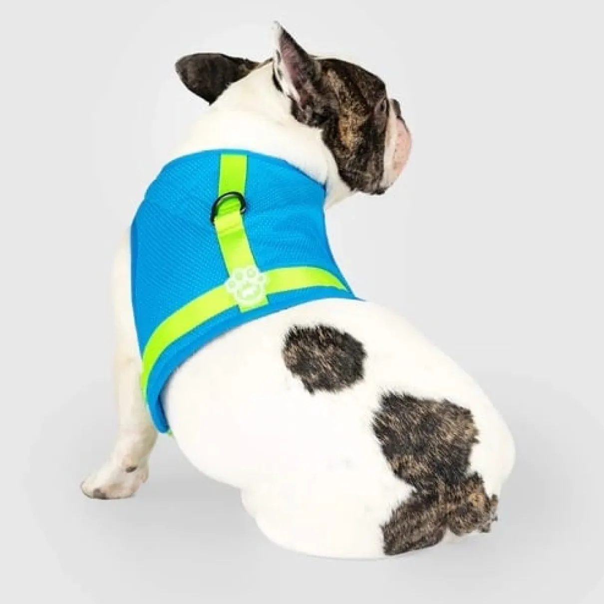 Chill Seeker Cooling Harness Blue