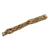 Cholla Sticks Medium 6"