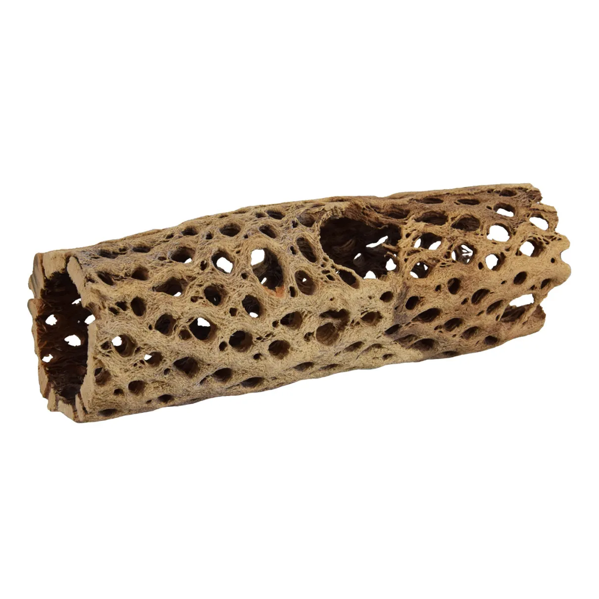 Cholla Tunnel Medium 6"