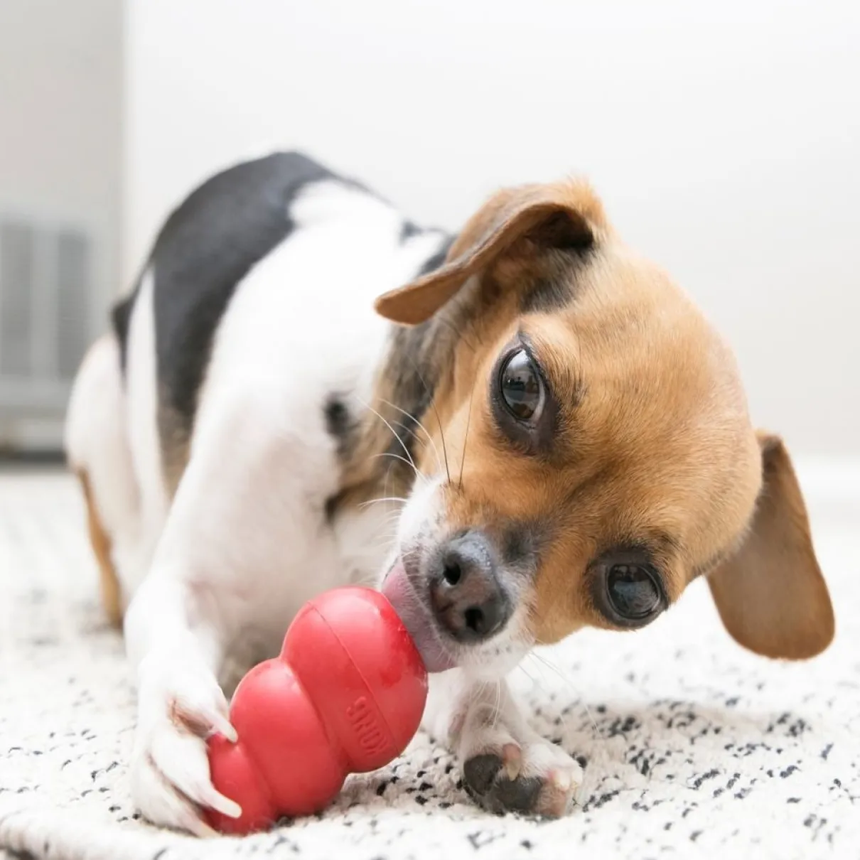 Classic Kong X-Small