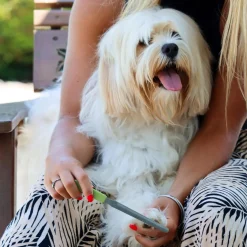 Coastal Safari Dog Nail File