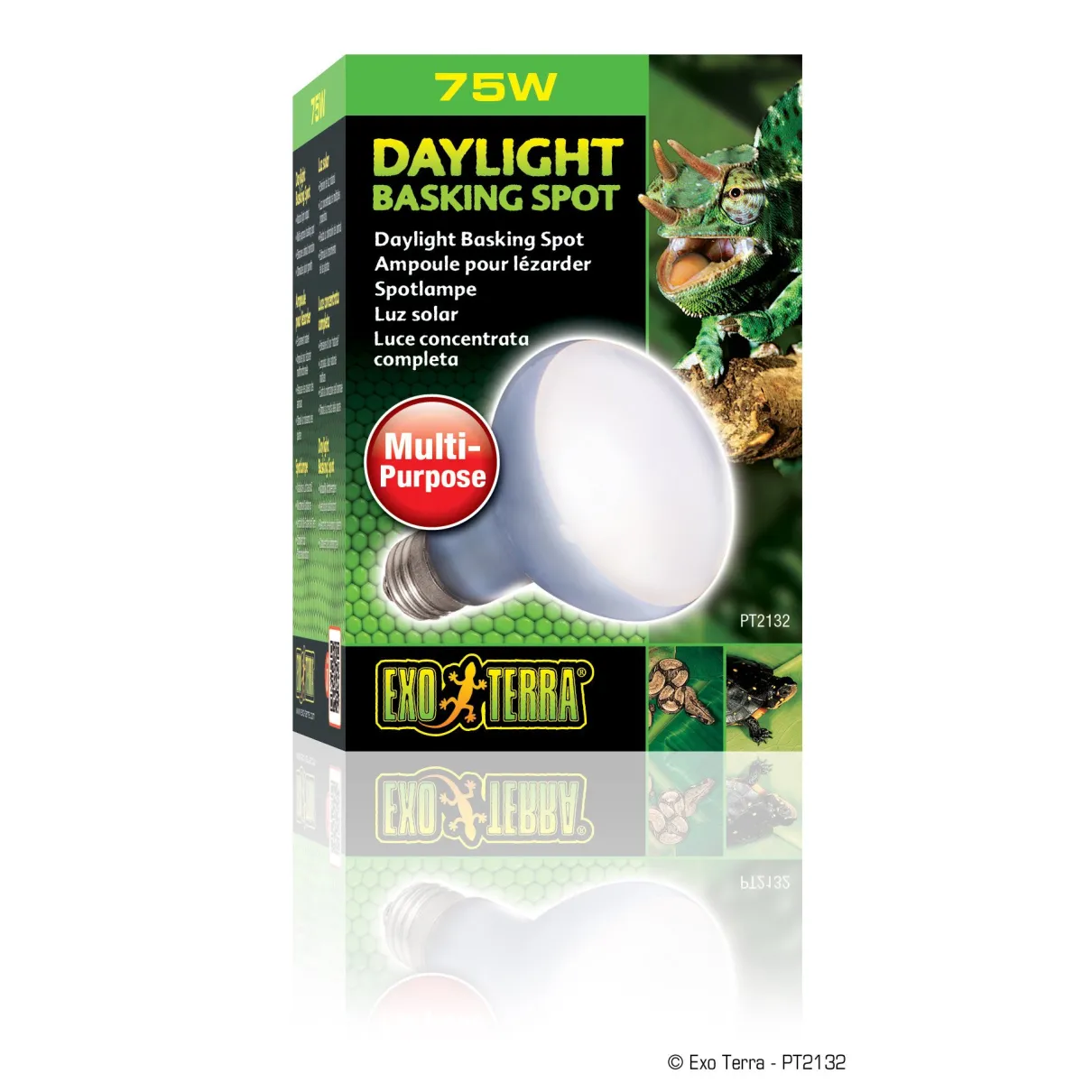 Daylight Basking Spot Lamp R20/75W
