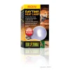 Daytime Heat Lamp A19/60W