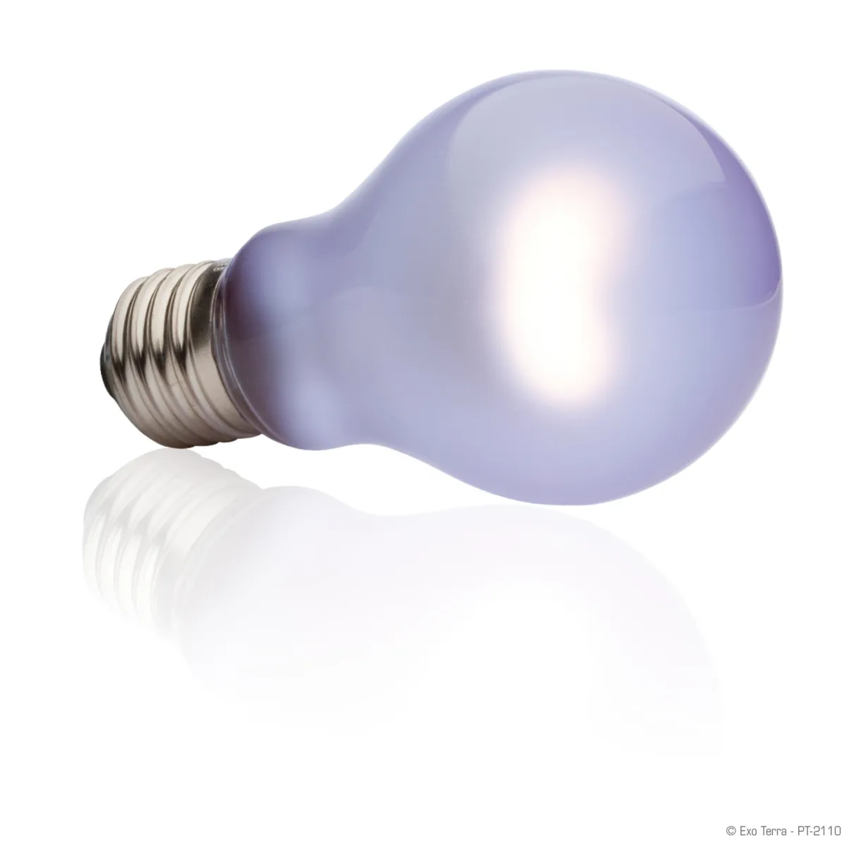 Daytime Heat Lamp A19/60W