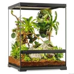 Exo Terra Pro Terrarium Advanced Natural Terrarium Small Tall 45x45x60