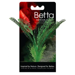 Fluval Betta Madagascar Lace Plant 15cm (6")