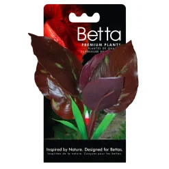 Fluval Betta Red Lizard Plant 15cm (6")
