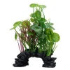 Fluval Green Lysimachia Plant 8"