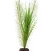 Fluval Green Parrot's Feather/Valisneria Plant 16"