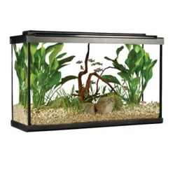Fluval Premium Aquarium Kit with LED - 29 Tall - 110 L (29 US Gal)