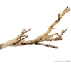 Forest Branch Sandblasted Grapevine Small