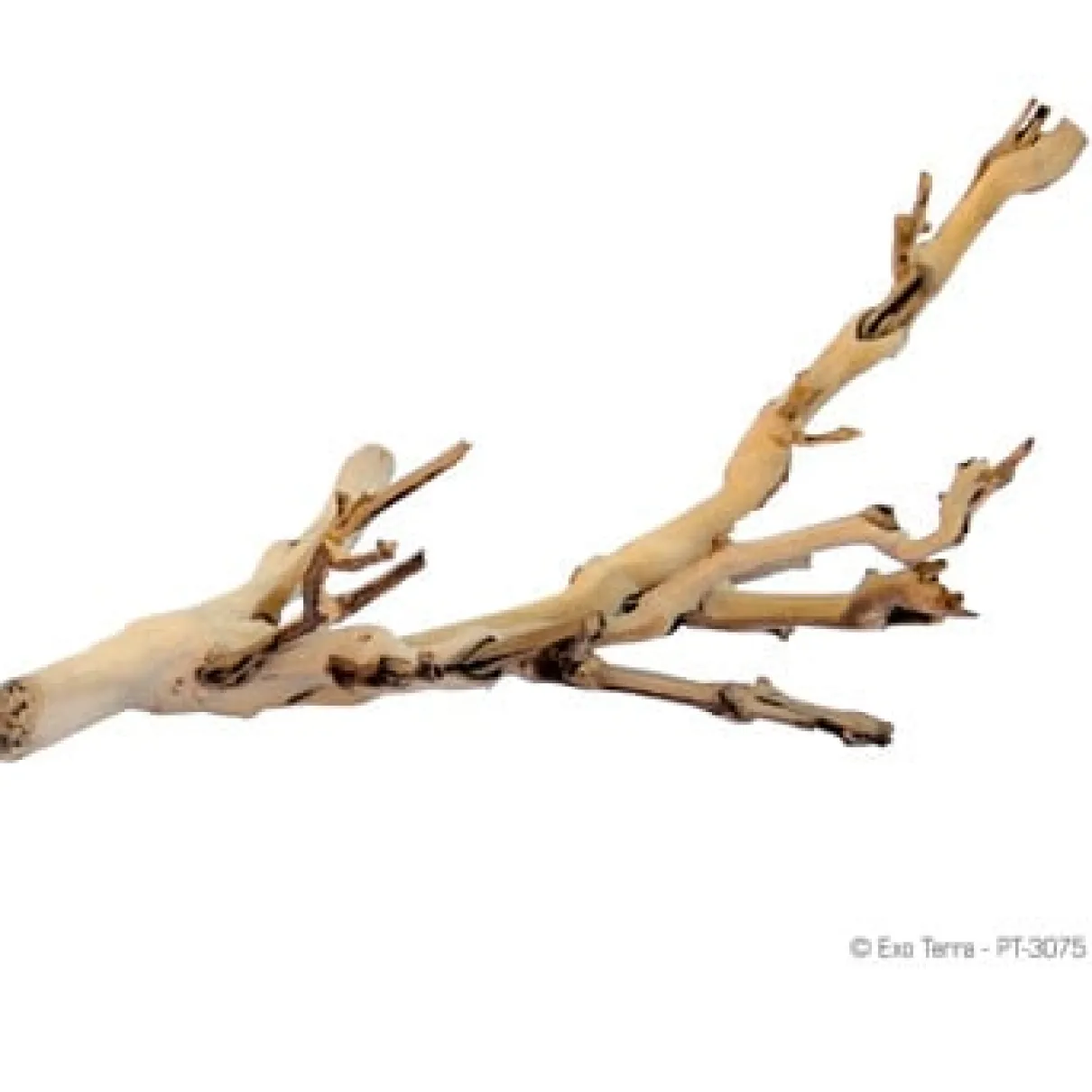 Forest Branch Sandblasted Grapevine Small