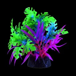 Glo Anubias Green/Blue Small