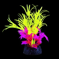 Glo Star Grass Yellow Small