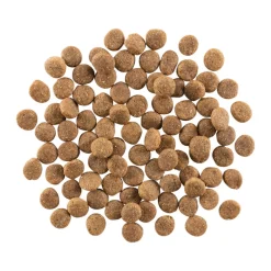 Go! Solutions Skin + Coat Care Salmon Recipe