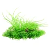 Grass Mat Aquarium Plant