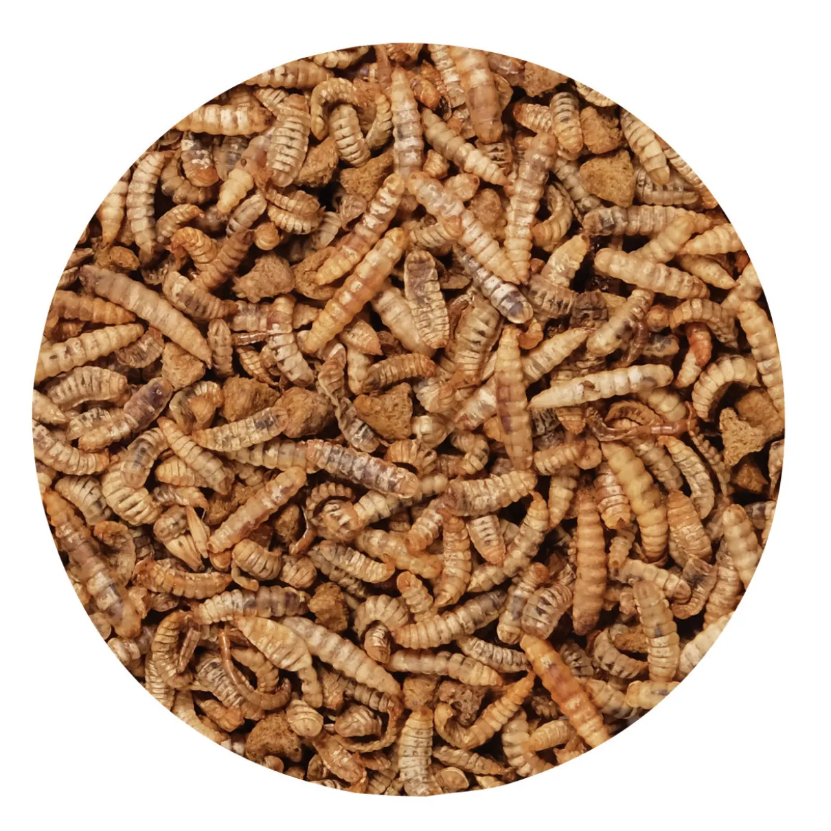Green Gourmet Toppers - Insects - 125 g (4.4 oz)