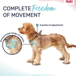 Halti Anatomy Puppy Harness
