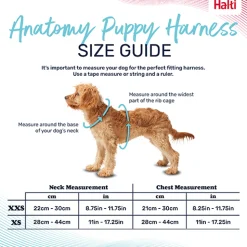 Halti Anatomy Puppy Harness