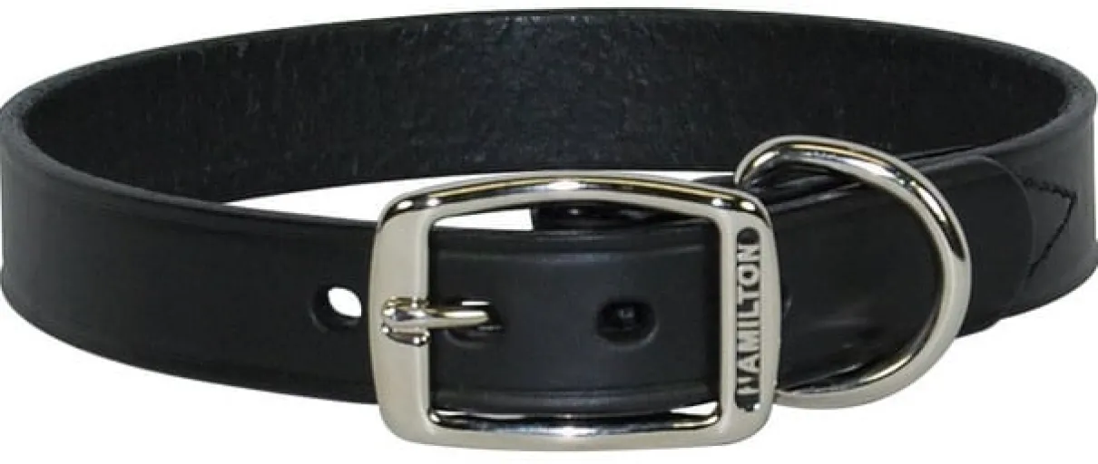 Hamilton Creased Leather Collar