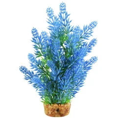 Hygro Tree Blue 8" Aquarium Plant