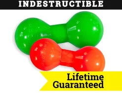 Indestructible Rubber Big Dawg Barbell Assorted Regular 6"x2.5"