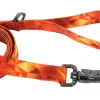 Inspire Fashion Dog Leash