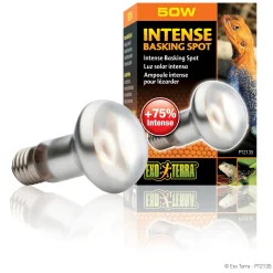 Intense Basking Spot S20/50W