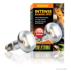 Intense Basking Spot S25/100W